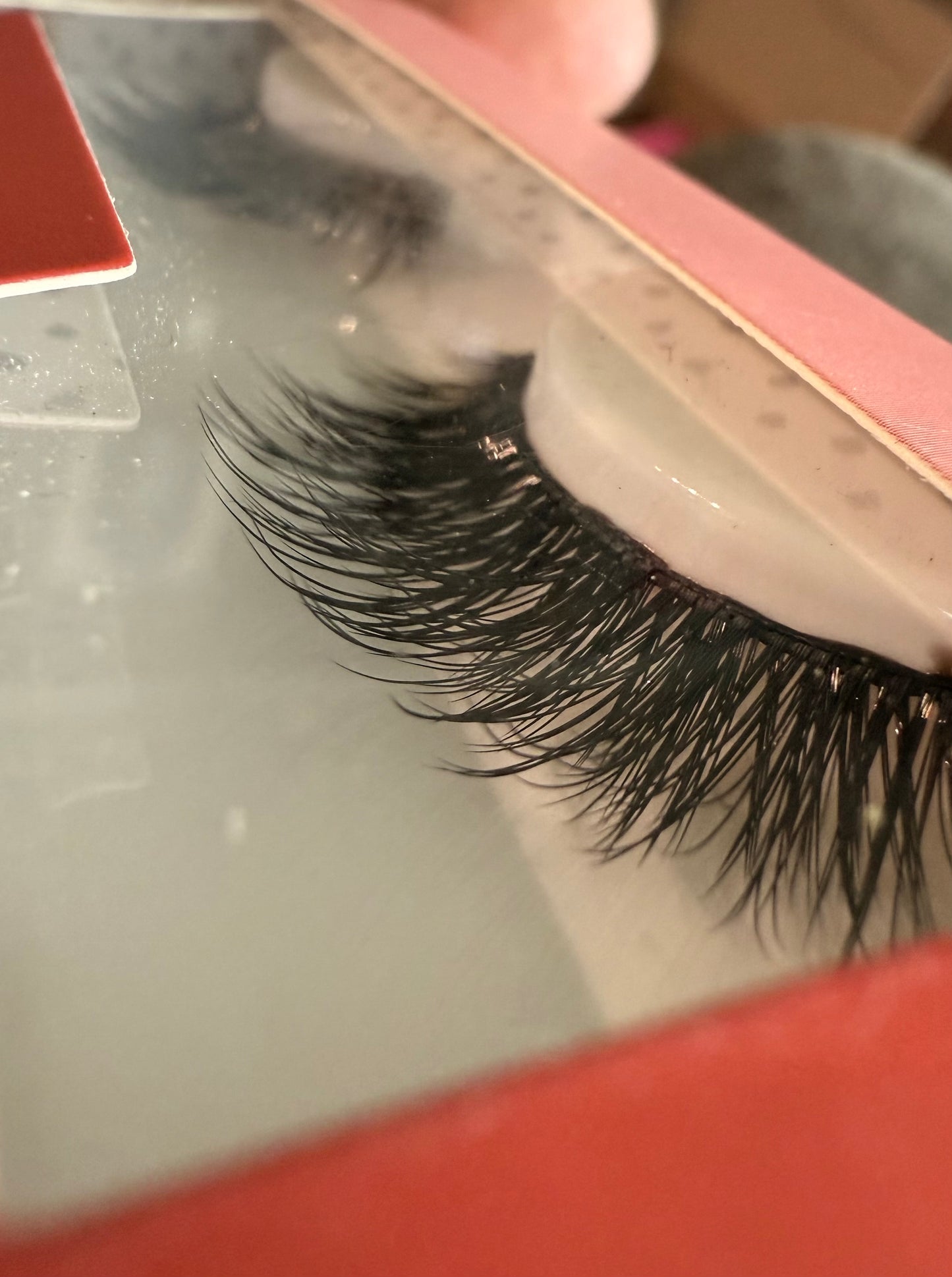 Red Aspen Luxe False Lash Bundle