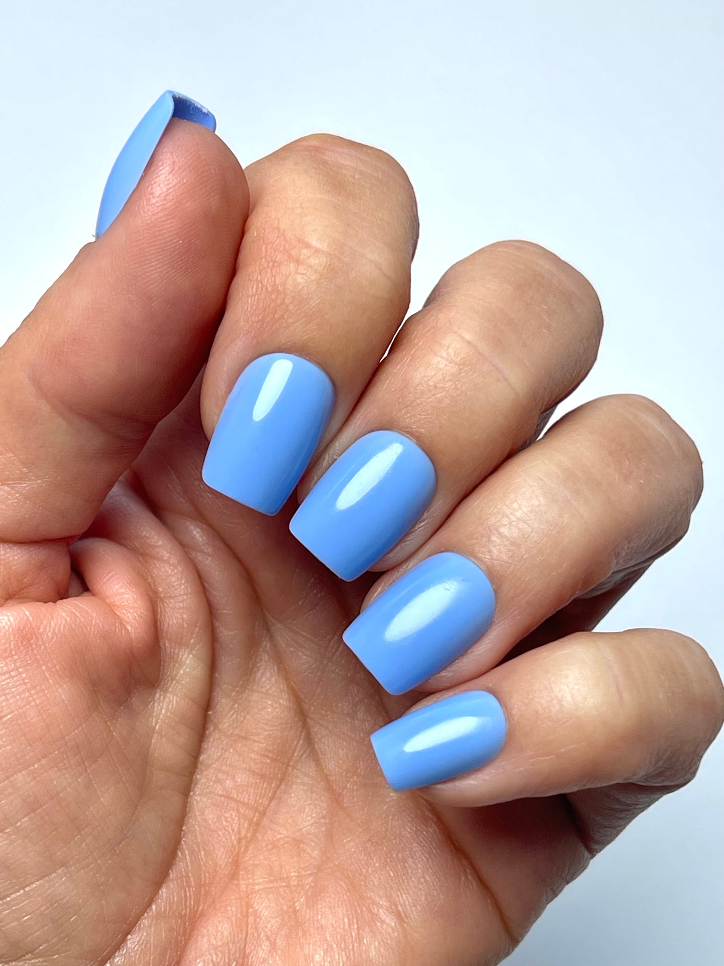 Mama Dukes’ Blue Hydrangeas (Short/Coffin)