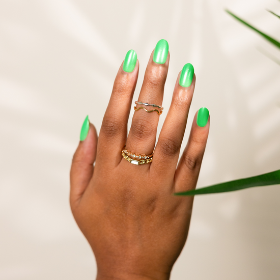 Succulents And Palms, Soleil (Medium/Oval)