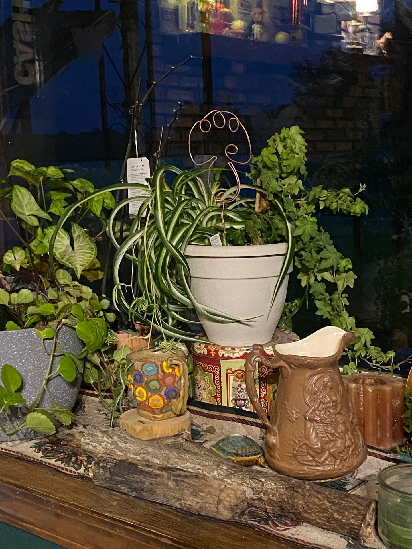 Mushroom Plant trellis