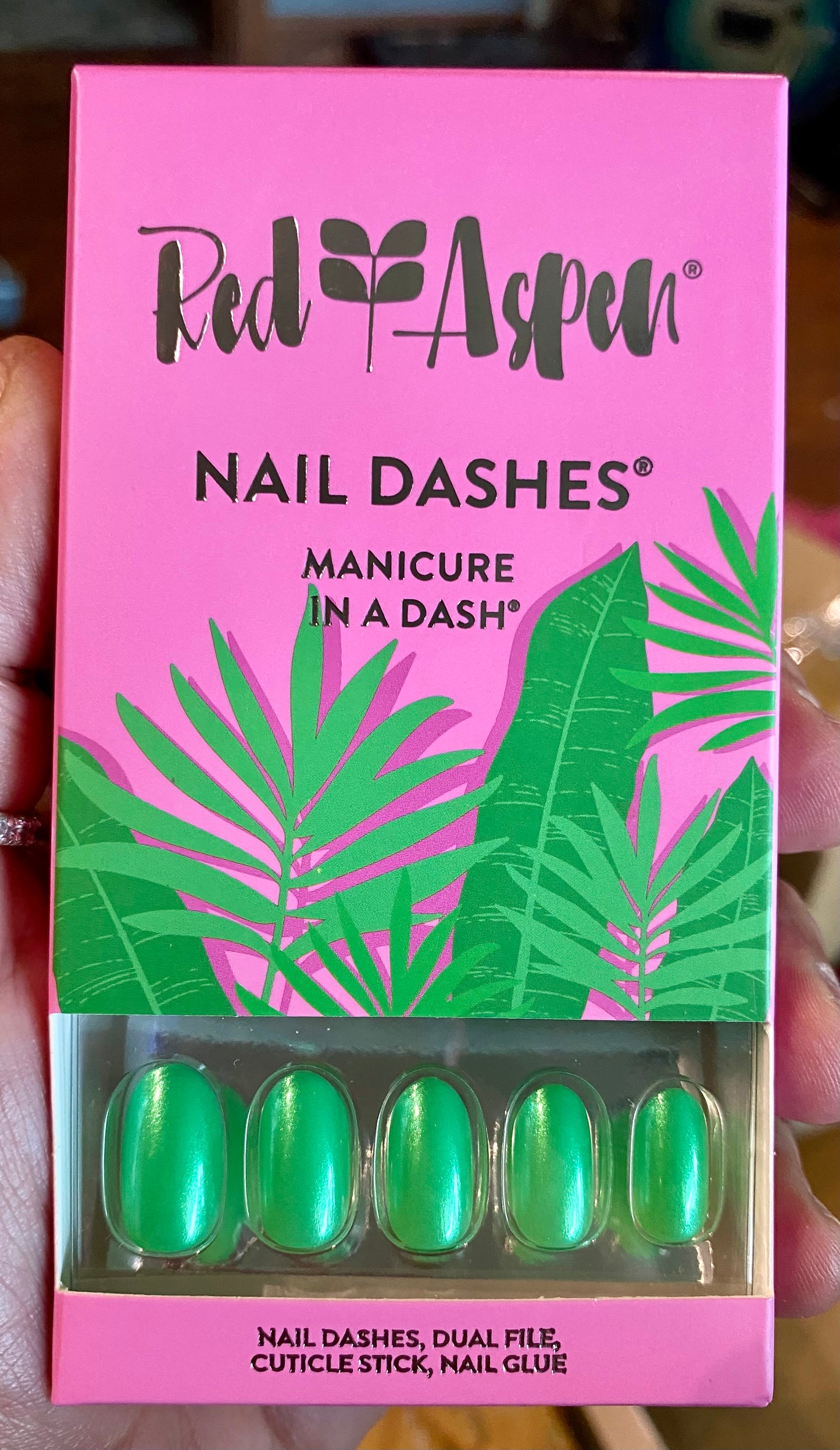 Succulents And Palms, Soleil (Medium/Oval)