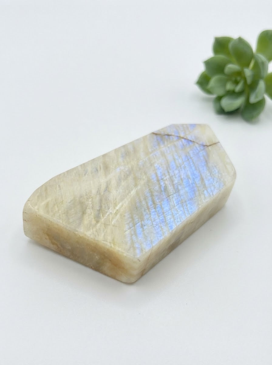Natural Moonstone Standing Freeforms | Choose Your Stone