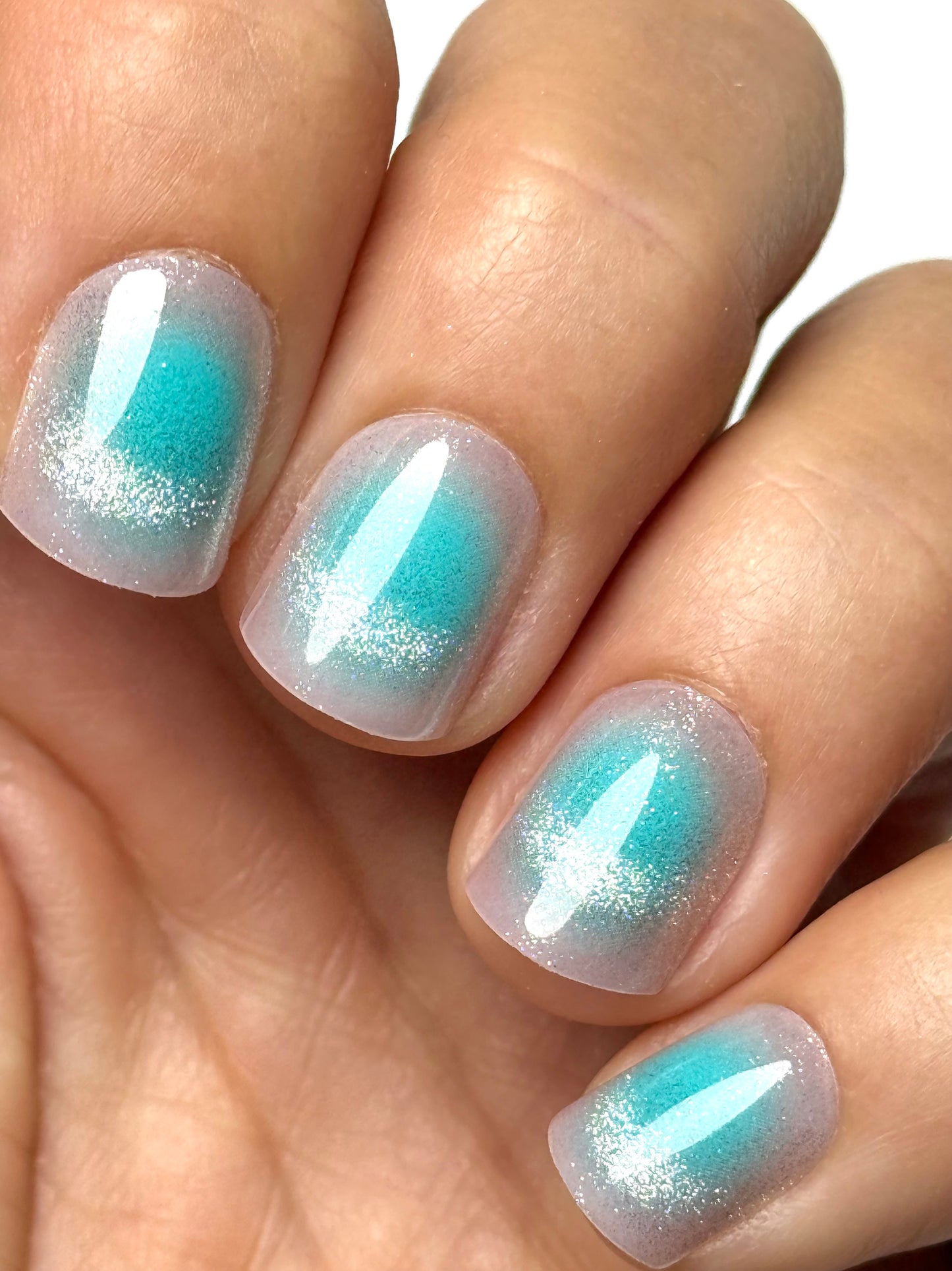 Blue Hawaii, Heda (Short/Square)
