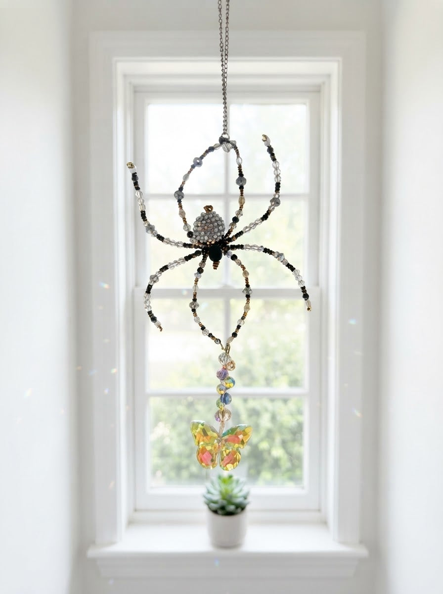 Stanley the Spider – Who Likes to Hang Around All Day
