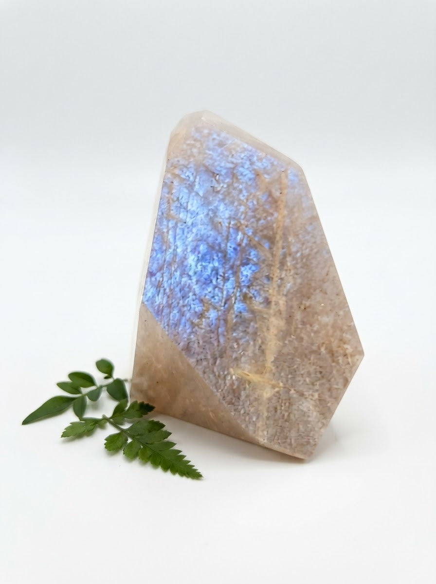 Natural Moonstone Standing Freeforms | Choose Your Stone
