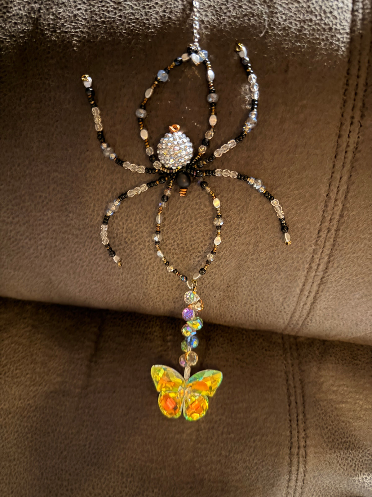 Stanley the Spider – Who Likes to Hang Around All Day