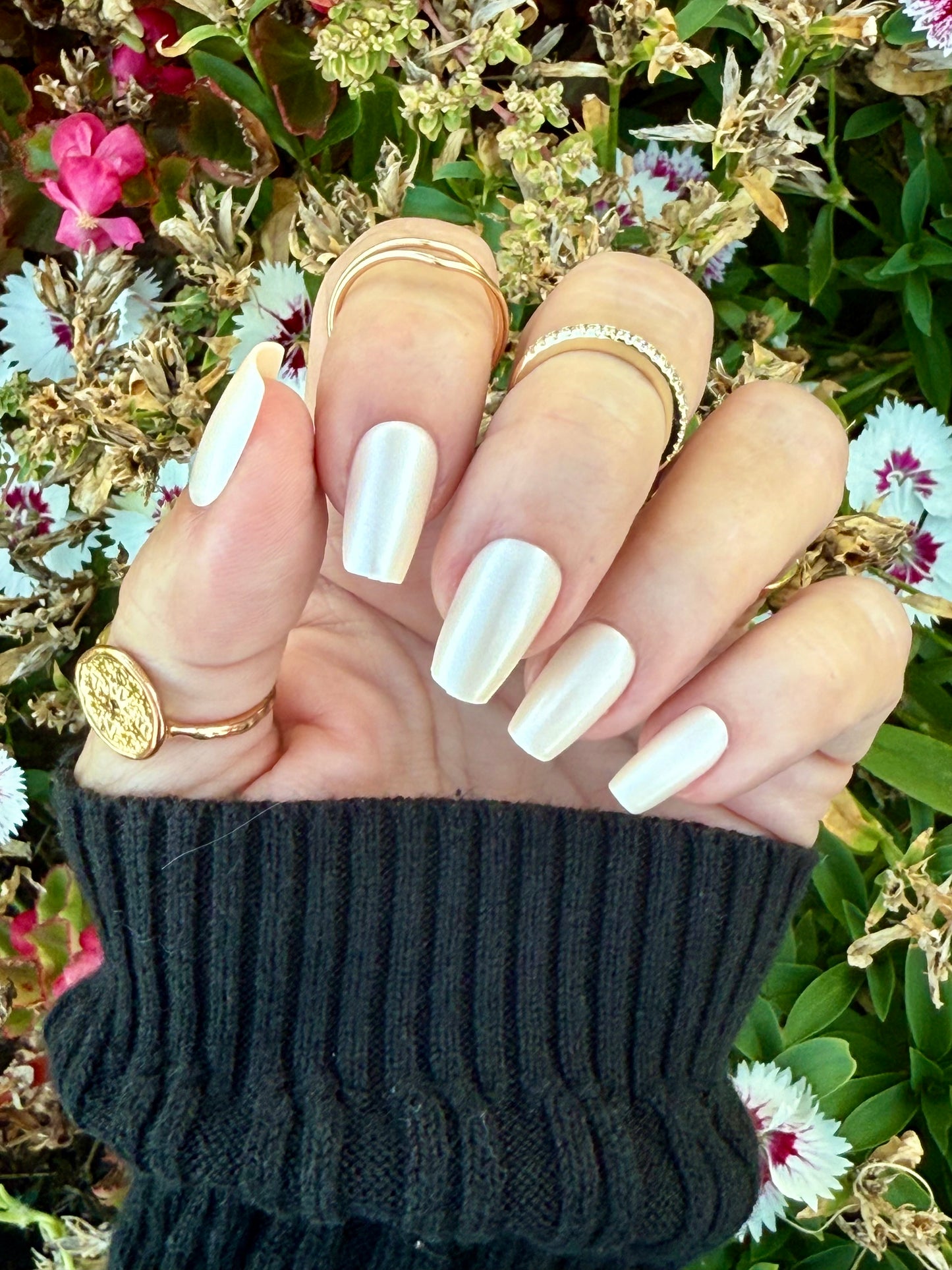 Imani Goes Ivy League (Medium/Coffin)