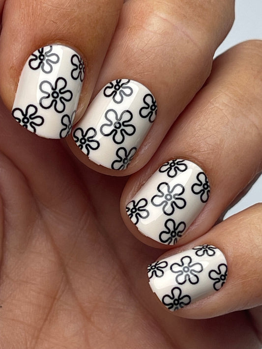 Fresh Cut Flowers, Callaghan (Short/Square)
