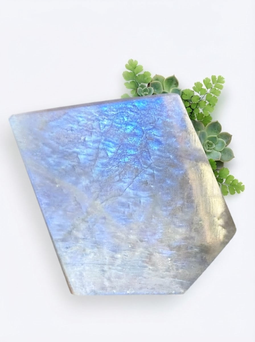 Natural Moonstone Standing Freeforms | Choose Your Stone